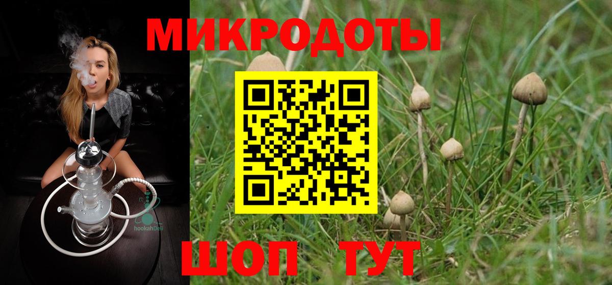 Псилоцибиновые грибы прущие грибы  Галлюциногенные грибы мухоморы  Красный Сулин  Вход с VPN 