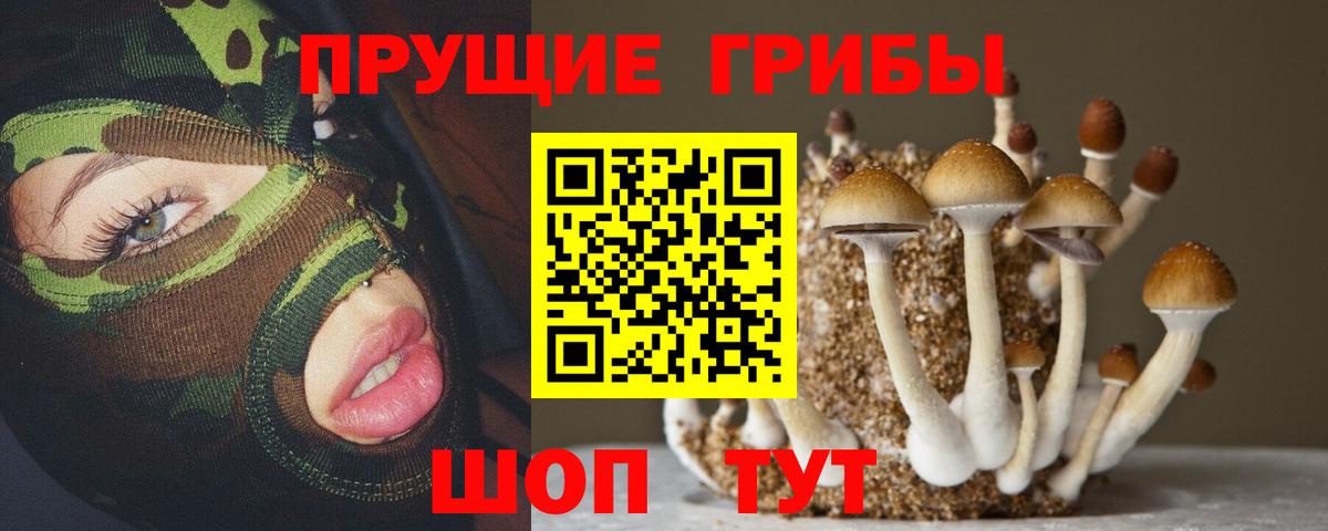 Псилоцибиновые грибы прущие грибы Красный Сулин